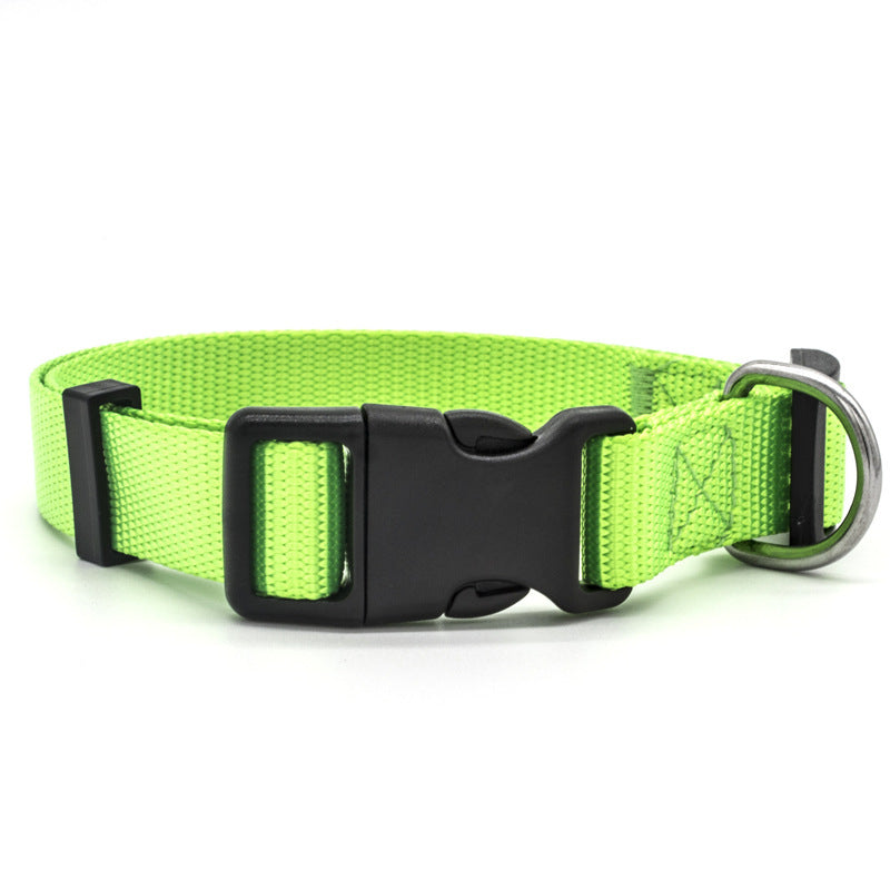 Collare in nylon morbido e resistente, regolabile e super confortevole per cani e gatti.