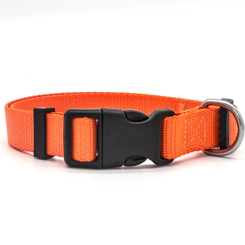 Collare in nylon morbido e resistente, regolabile e super confortevole per cani e gatti.