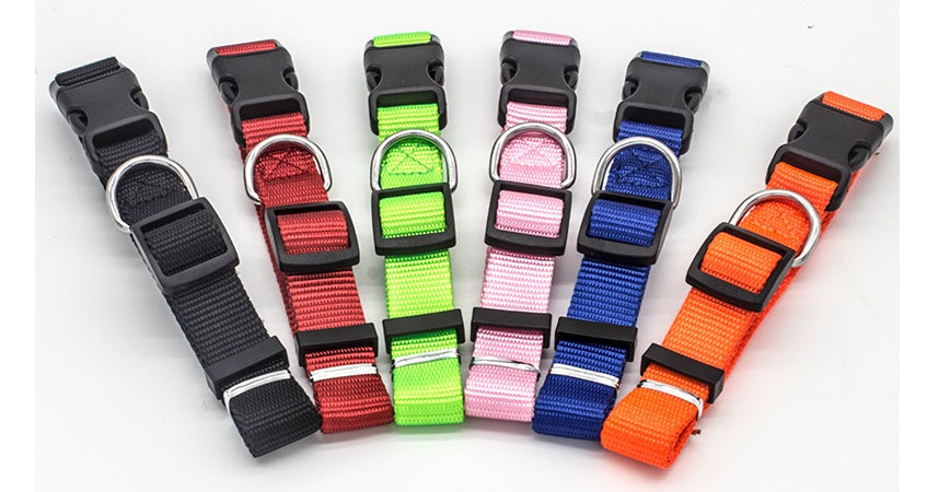 Collare in nylon morbido e resistente, regolabile e super confortevole per cani e gatti.