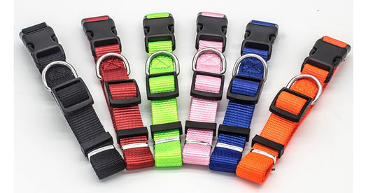 Collare in nylon morbido e resistente, regolabile e super confortevole per cani e gatti.