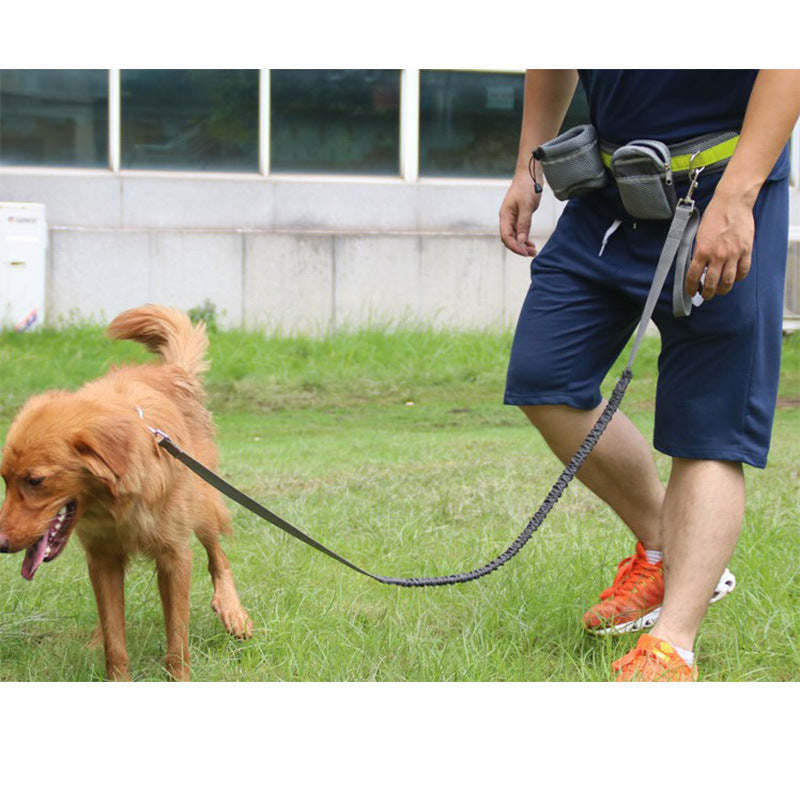 Set di Trazione per Cani da Corsa