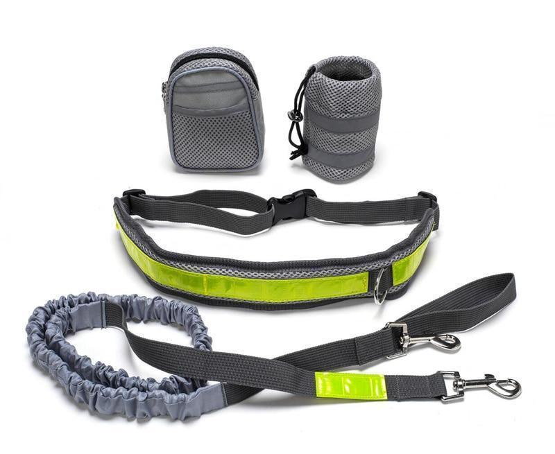 Set di Trazione per Cani da Corsa