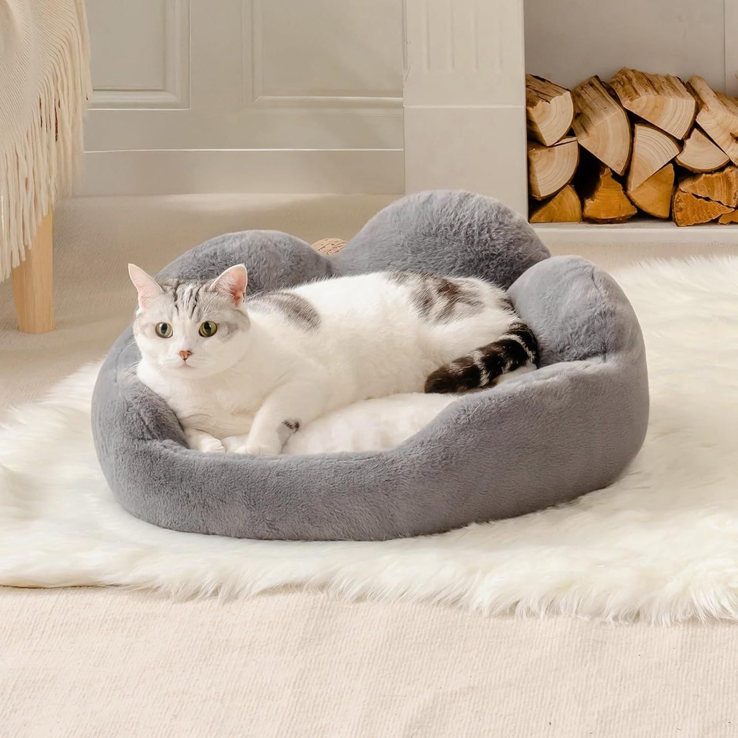 Cuccia per gatti e cani di piccola taglia MEWOOFUN – Divano letto a fiore