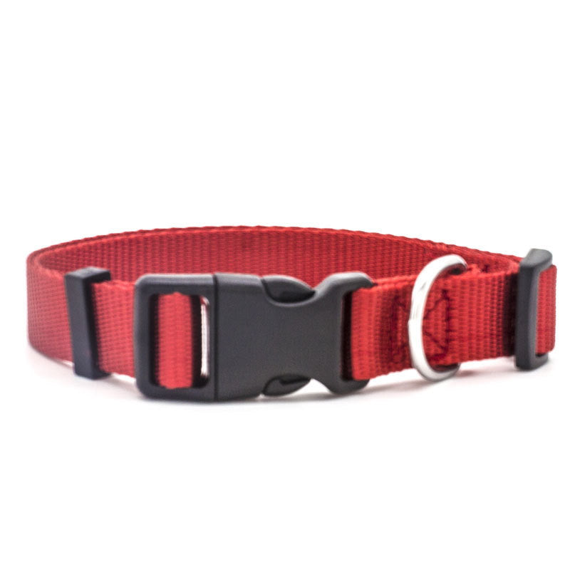 Collare in nylon morbido e resistente, regolabile e super confortevole per cani e gatti.